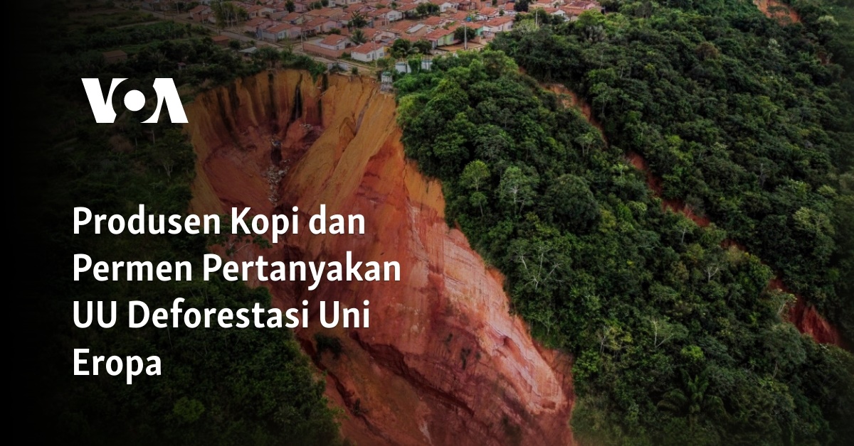 Produsen Kopi Dan Permen Pertanyakan Uu Deforestasi Uni Eropa