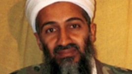 Osama bin Laden