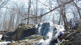 This is one of the cascading waterfall located in the Shenandoah valley.
