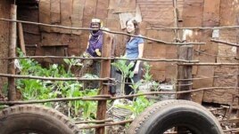 Kibera’s food producers grow their crops directly alongside densely-packed shacks. Nierenberg, pictured here with one of the farmers, says they are an example to the world