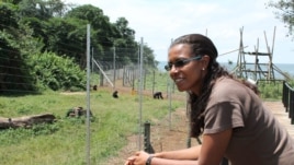 Lily Ajarova, director of Ngamba Island Chimpanzee Sanctuary, is warning Ugandans of the dangers of eating primates, Nov. 8, 2012. (H. Heuler/VOA)