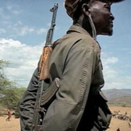 An armed pastoralist watches over his herd with his rifle - the weapon of choice among herders - slung over his shoulder, Aug 2010