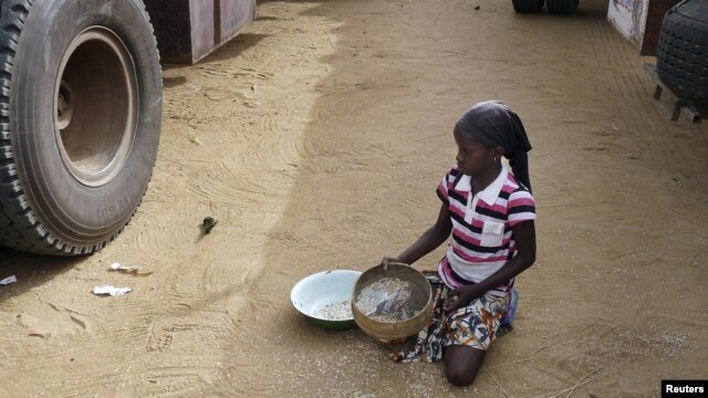 A girl gathers rice spilled from a humanitarian food convoy in the northeastern city of Gao, Mali, June 14, 2012.