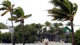 El aviso de huracán para Miami fue reducido a una alerta de tormenta tropical. Tampa sigue en alerta.