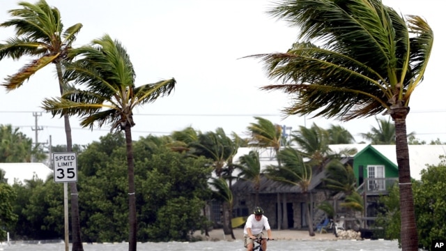 El aviso de huracán para Miami fue reducido a una alerta de tormenta tropical. Tampa sigue en alerta.