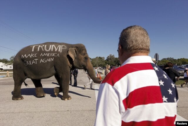 Người ủng hộ Donald Trump diễu hành một con voi mang tên ông ta trước một buổi vận động ở Sarasota, bang Florida, ngày 28 tháng 11, 2015.