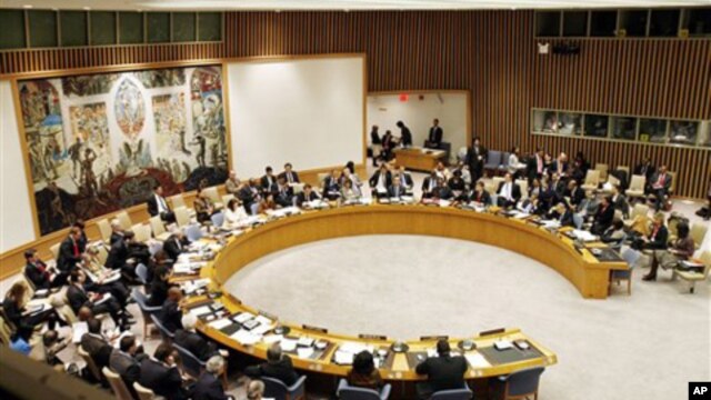 The United Nations Security Council (file photo)