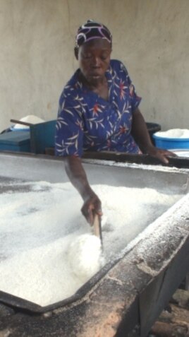 Transforming cassava into processed foods preserves the harvest and increases incomes.