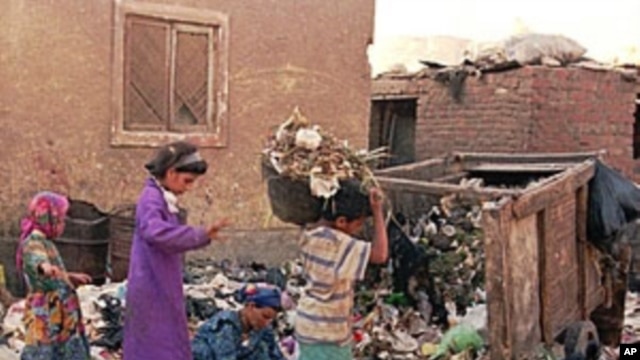 Residents of the Cairo settlement of Manshiet Nasser collect garbage in the streets of the neighborhood. The settlement, populated by Egyptian Christians, is where Cairo, Africa's biggest city, dumps its garbage. Residents then sort it out. They are known