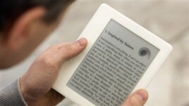 Best-sellers, children’s books, reference books: They’re all being added in electronic format in libraries across America. 