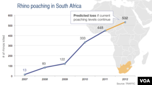 Rhino poaching in South Africa, 2007-2012