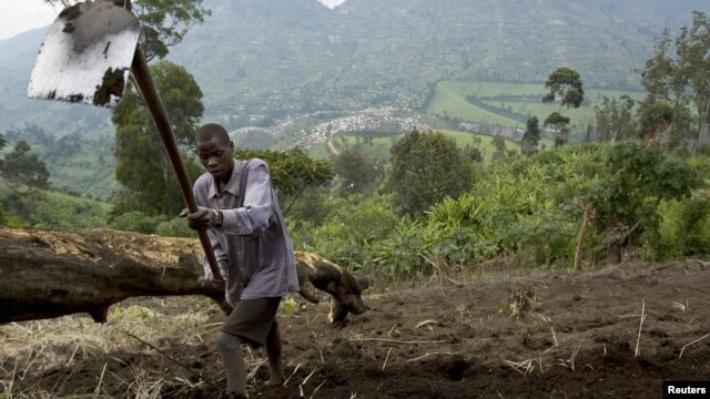 Muneman Rugema, 22, tills soil in Masisi, northwest of Goma, DRC, Dec. 19, 2008.
