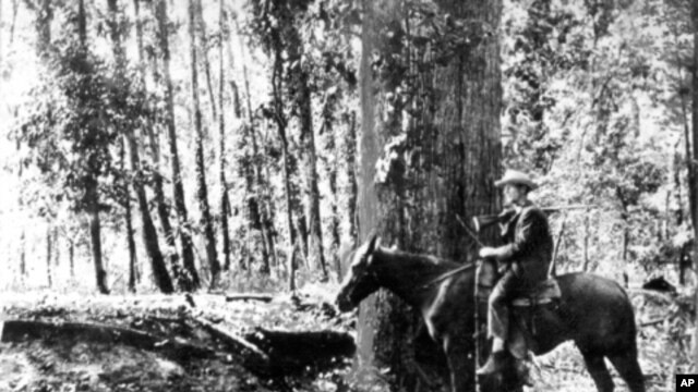 New Madrid Earthquakes 1811-12. One side of fault trench or "fissure" near banks of St. Francis River, Clay County, Arkansas. 1904.