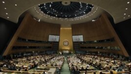 UN General Assembly