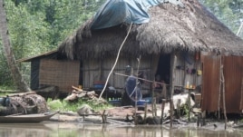 Most of the Niger Delta's 31 million residents live on less than $1 a day in the countryside and analysts say poverty will increase if rural schools are not improved, Niger Delta, November 2012. (H. Murdock/VOA)