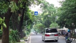 Salah satu ruas jalan di wilayah Jakarta Pusat yang diperuntukkan sebagai 'Ruang Terbuka Hijau' (foto: Budi Nahaba/VOA).