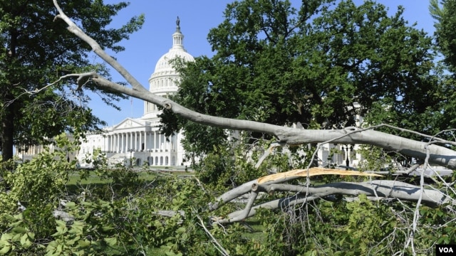 Giông bão làm đổ cây ở thảm cỏ phía đông của trụ sở Quốc hội Hoa Kỳ ở Washington, ngày 30 tháng 6, 2012