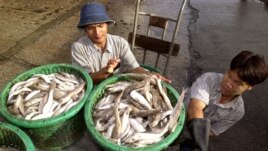 ထိုင္းႏုိင္ငံတြင္းက ျမန္မာေရႊ႔႕ေျပာင္းအလုပ္သမားမ်ား