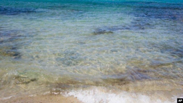Rock samples from the deepest layer of the earth's crust at the Atlantis Massif in the mid-Atlantic Ocean revealed the presence of microorganisms.