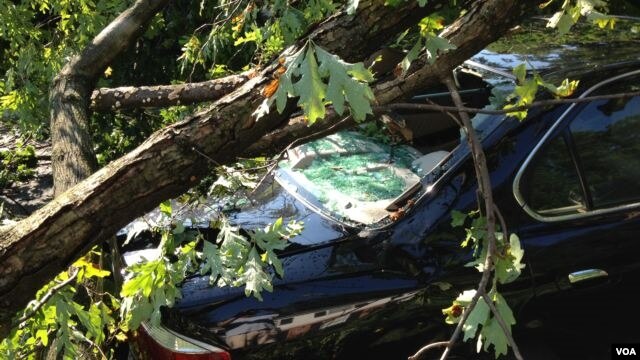 Las tormentas no sólo derribaron líneas del tendido eléctrico sino que también provocaron muertos y destrozos.