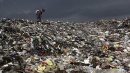 A woman searches for reusable material at a garbage dump near Deepor Beel Wildlife Sanctuary on the outskirts of Gauhati, India, June 5, 2012.