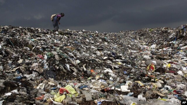 A woman searches for reusable material at a garbage dump near Deepor Beel Wildlife Sanctuary on the outskirts of Gauhati, India, June 5, 2012.