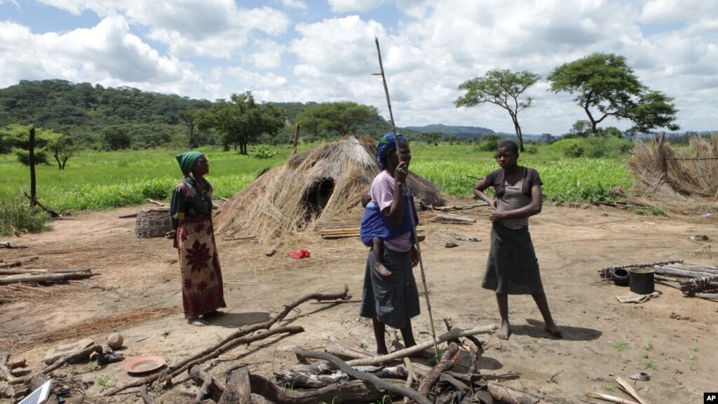 Zimbabwe Farmers Decry Land Grab for First Lady's Game Park