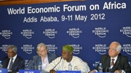 Former Nigerian President Olusegun Obasanjo (2nd R) addresses a session alongside Kofi Annan (L), chairman of Alliance for a Green Revolution, Irish rock star Bob Geldof (2nd L) and Peter Eigen, a member of the Africa Progress Panel (APP), during the Worl