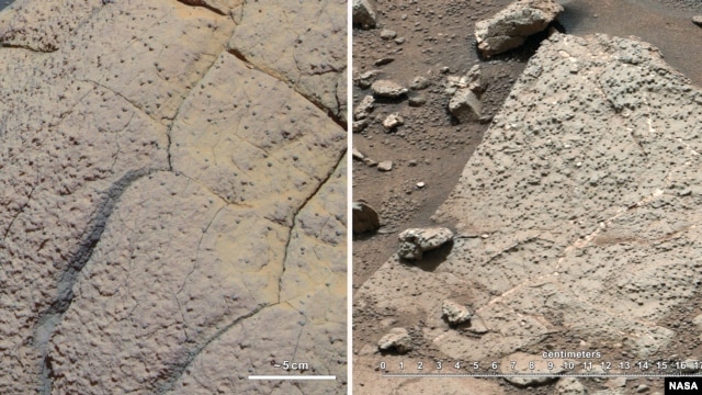 The space agency says rocks like these are evidence that Mars could have supported life.