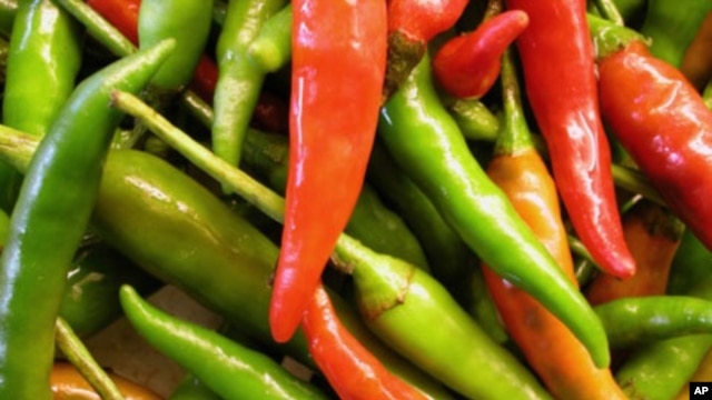 Inspired by chili peppers, researchers are working toward a painkiller that could stop the brain from registering the presence of pain.