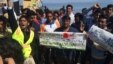Pakistani travelers protest deportations, saying they have the right to apply for asylum under international law in Lesbos, Greece, April 4, 2016. (H. Murdock/VOA)