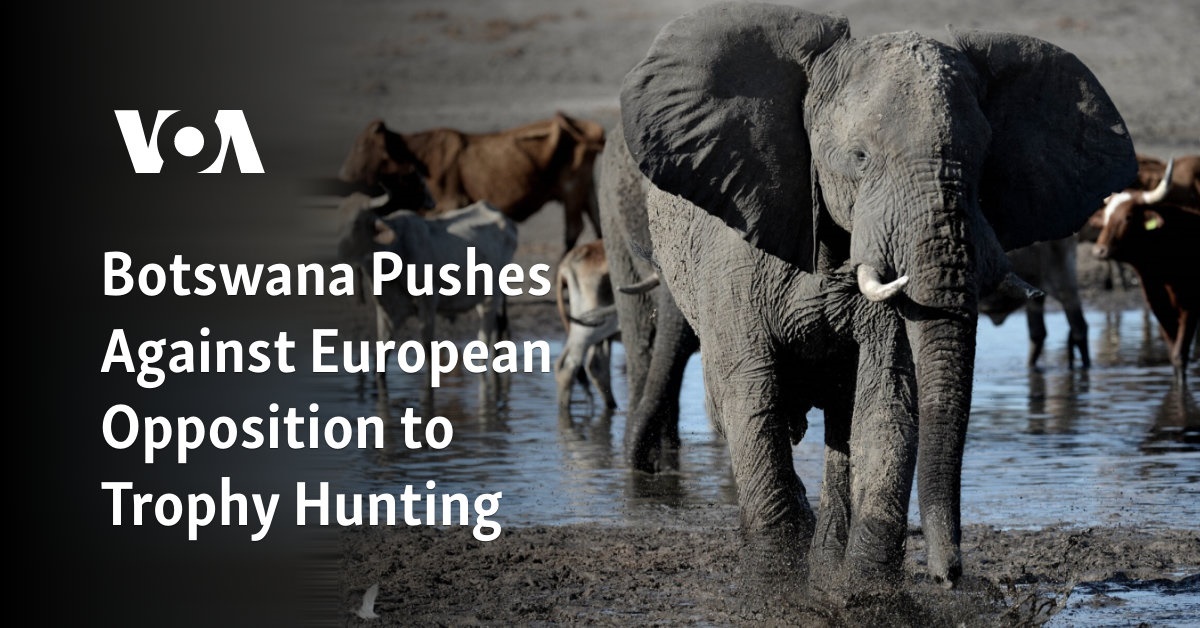 Botswana Pushes Against European Opposition To Trophy Hunting