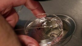 Facebook dhe Apple, ndihmë financiare për fertilitetin