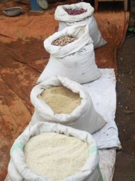 Slow Food International says indigenous types of grain are also threatened with extinction