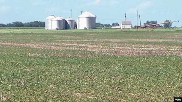 US drought and crops 2