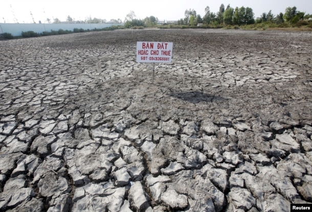 A sign which reads "Land for sale or for lease" is seen placed on a drought-affected rice field in Bac Lieu province, in the Mekong Delta, Vietnam March 30, 2016. Picture taken on March 30, 2016.