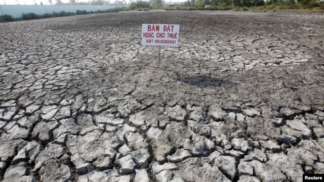 Một tấm bảng viết "Bán đất hoặc cho thuê" trên một cánh đồng lúa bị ảnh hưởng bởi hạn hán tại tỉnh Bạc Liêu, Việt Nam, ngày 30 tháng 3 năm 2016.
