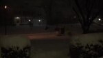 Snow Pile Up in Time-Lapse Video From Washington D.C. Area