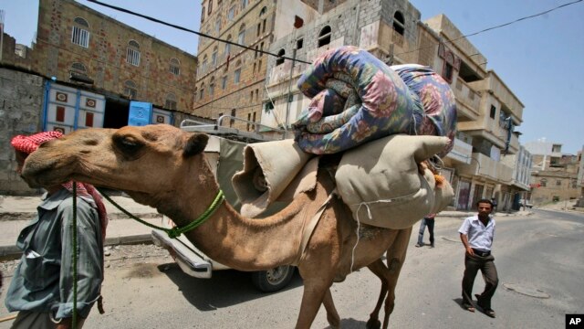 Lạc đà được dùng để vận chuyển trong các vùng sa mạc. Các khoa học gia nói rằng virut gây hội chứng MERS đã lây nhiễm cho các con lạc đà ở Ả Rập Xê-út ít nhất từ 20 năm qua và rằng các ca con người bị nhiễm bệnh có lẽ đã không được biết trước đây