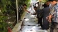 Người dân Syria nhận dạng thi hài các nạn nhân, chết sau một cuộc tấn công mà người ta cho rằng bằng khí độc do lực lượng chính phủ thực hiện, 21/8/13