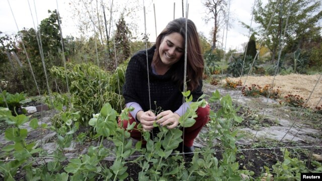 Las huertas caseras generan empleo, recursos y calidad de vida. 
