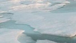 Arctic Sea ice has decreased by fifty percent in 30 years.