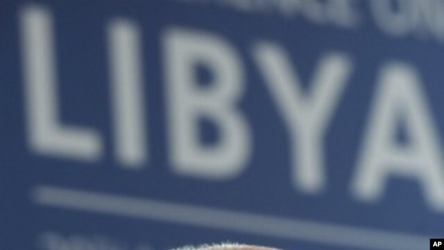 British Foreign Secretary William Hague (file photo)