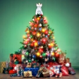 Americans can buy their trees from roadside lots or choose an artificial one, but more opt to select and cut down their own Christmas trees.