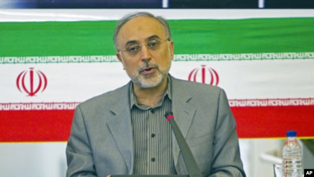 Iranian Foreign Minister Ali Akbar Salehi speaks with ambassadors during a session in Tehran, July 10, 2011 (file photo)