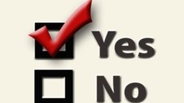 Zimbabwe's three parties in the unity government are campaigning for a 'yes' vote in the forthcoming constitutional referendum