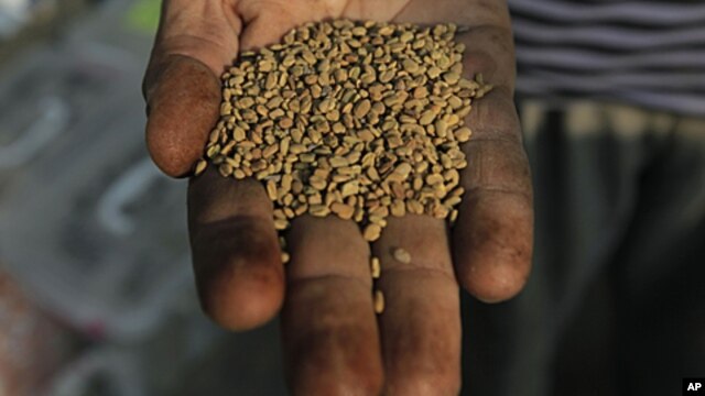 An Egyptian spice dealer displays fenugreek seeds at his shop in Cairo, Egypt, June 30, 2011