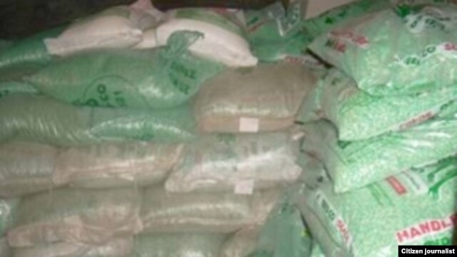 Maize seed