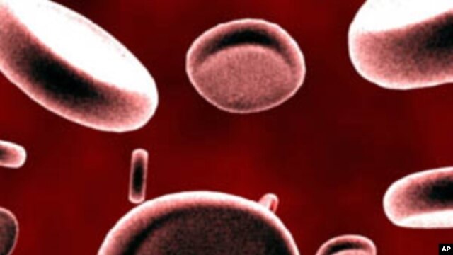 The heart's ability to pump blood improved after  patients were injected with adult stem cells taken from their own hearts, according to a study led by Dr. Roberto Bolli of the University of Louisville.