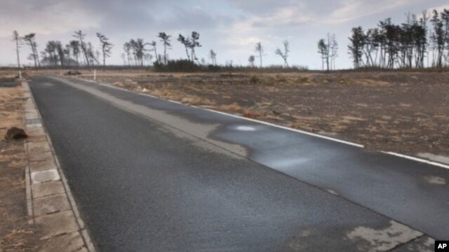 Barren coastal region where the disaster struck have not recovered, Japan, March 8, 2012.